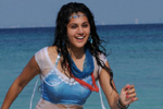 Tapsee Hot in Daruvu